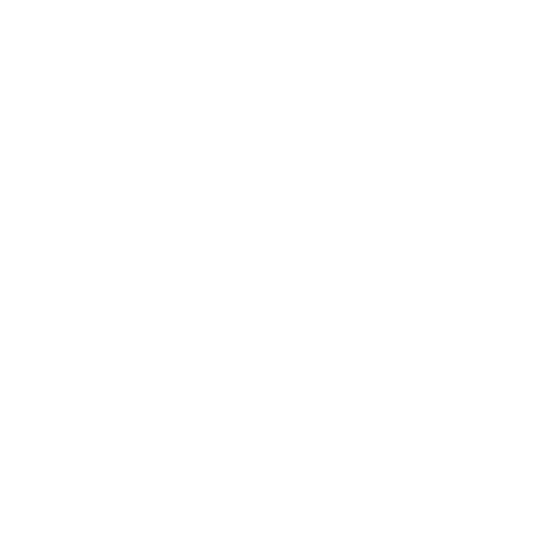 Rich Playz Clothing